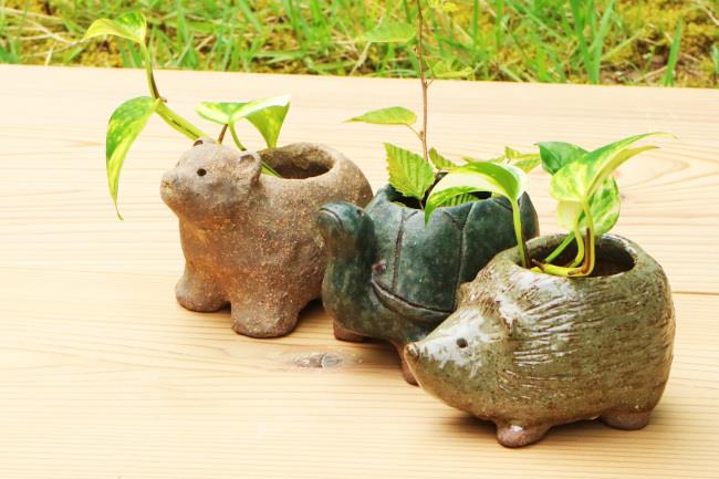 動物グリーンポットつくり
