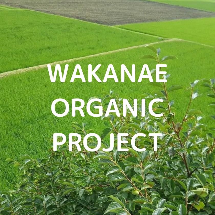 wakanae_1