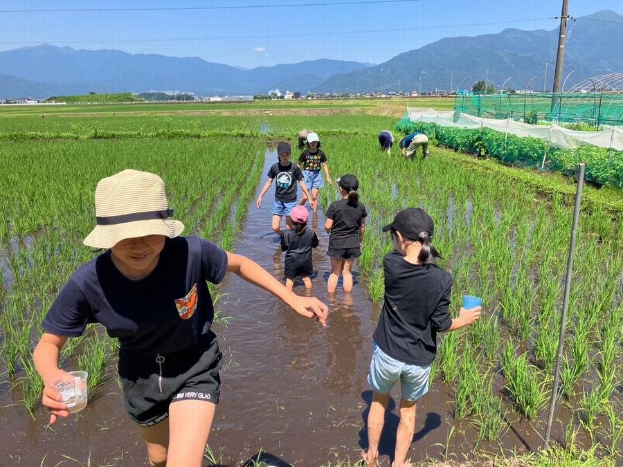 わかなえ修正1