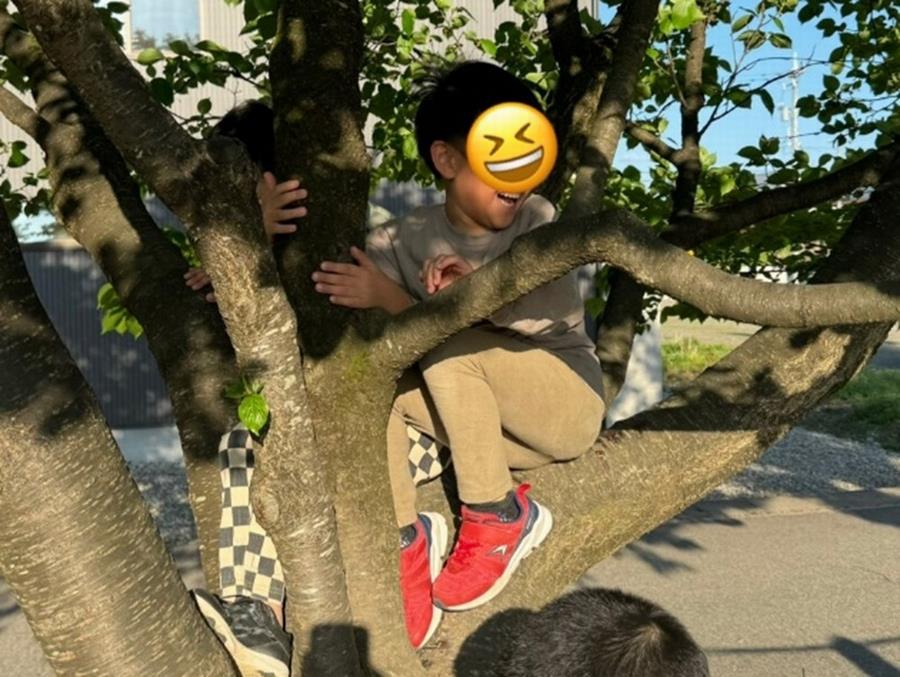 画像6