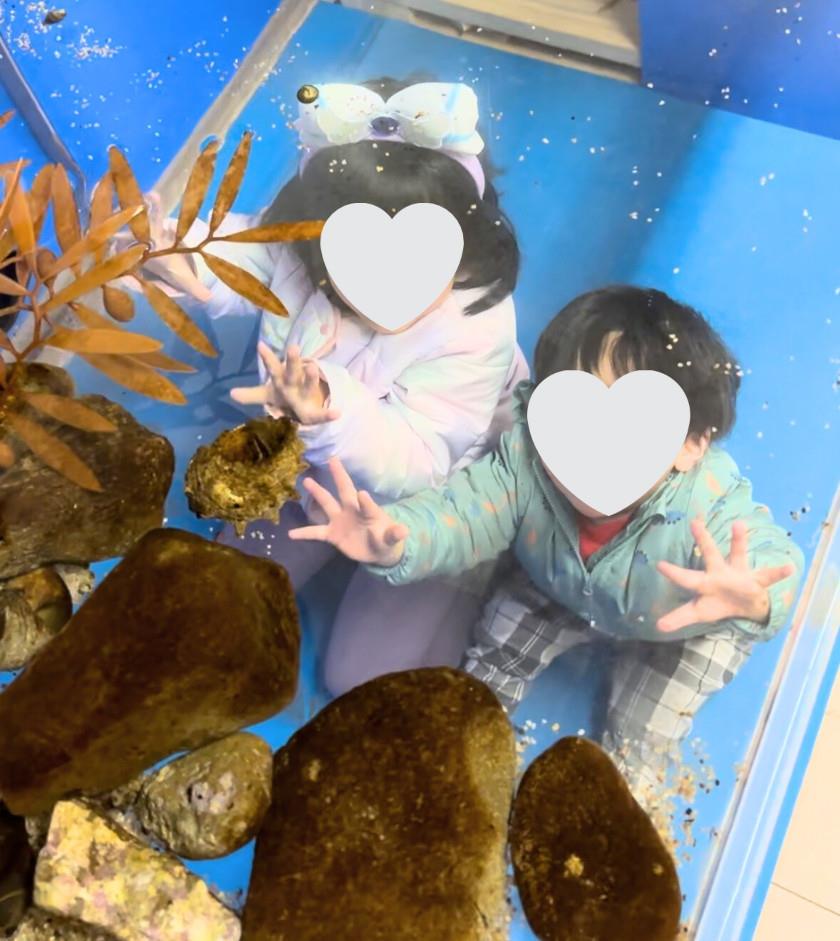 くにみくらげ