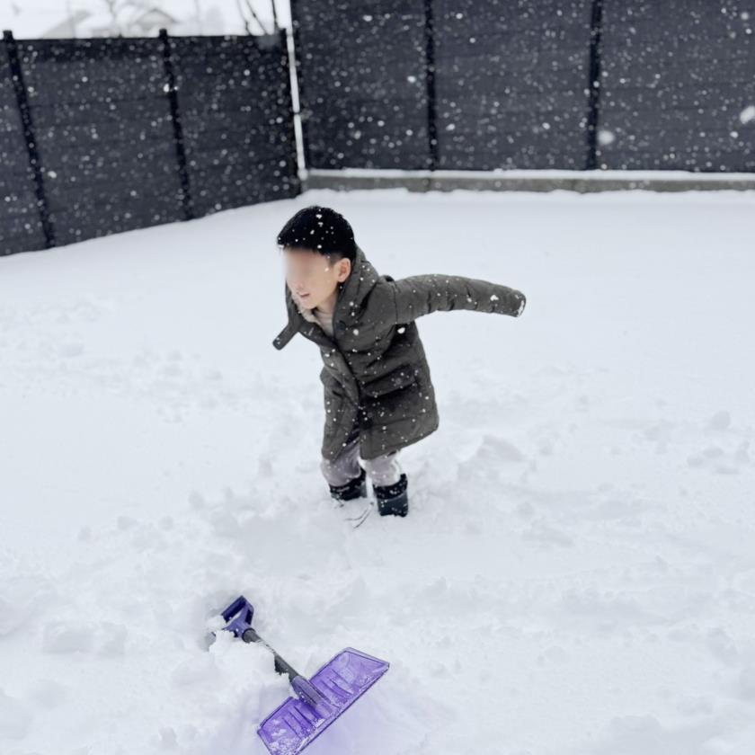 大野の雪1
