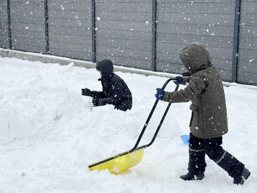 大野の雪4