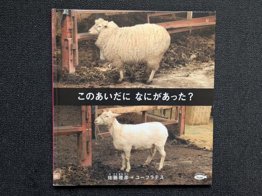 このあいだになにがあった