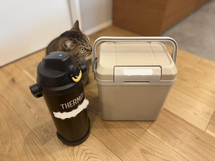 ふくまむフレンズ1119_3