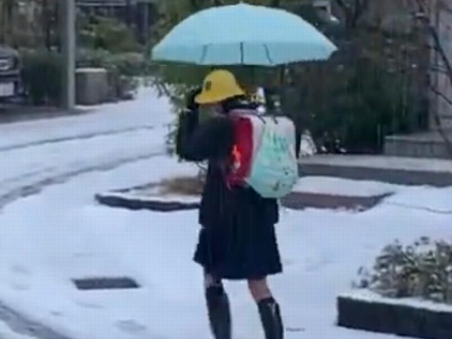 雪の中のお見送り